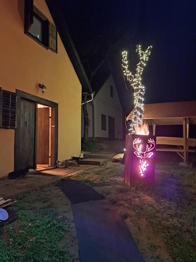 Villa Macskajaj Vendeghaz Mecseknádasd Exterior foto