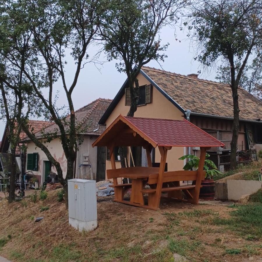Villa Macskajaj Vendeghaz Mecseknádasd Exterior foto