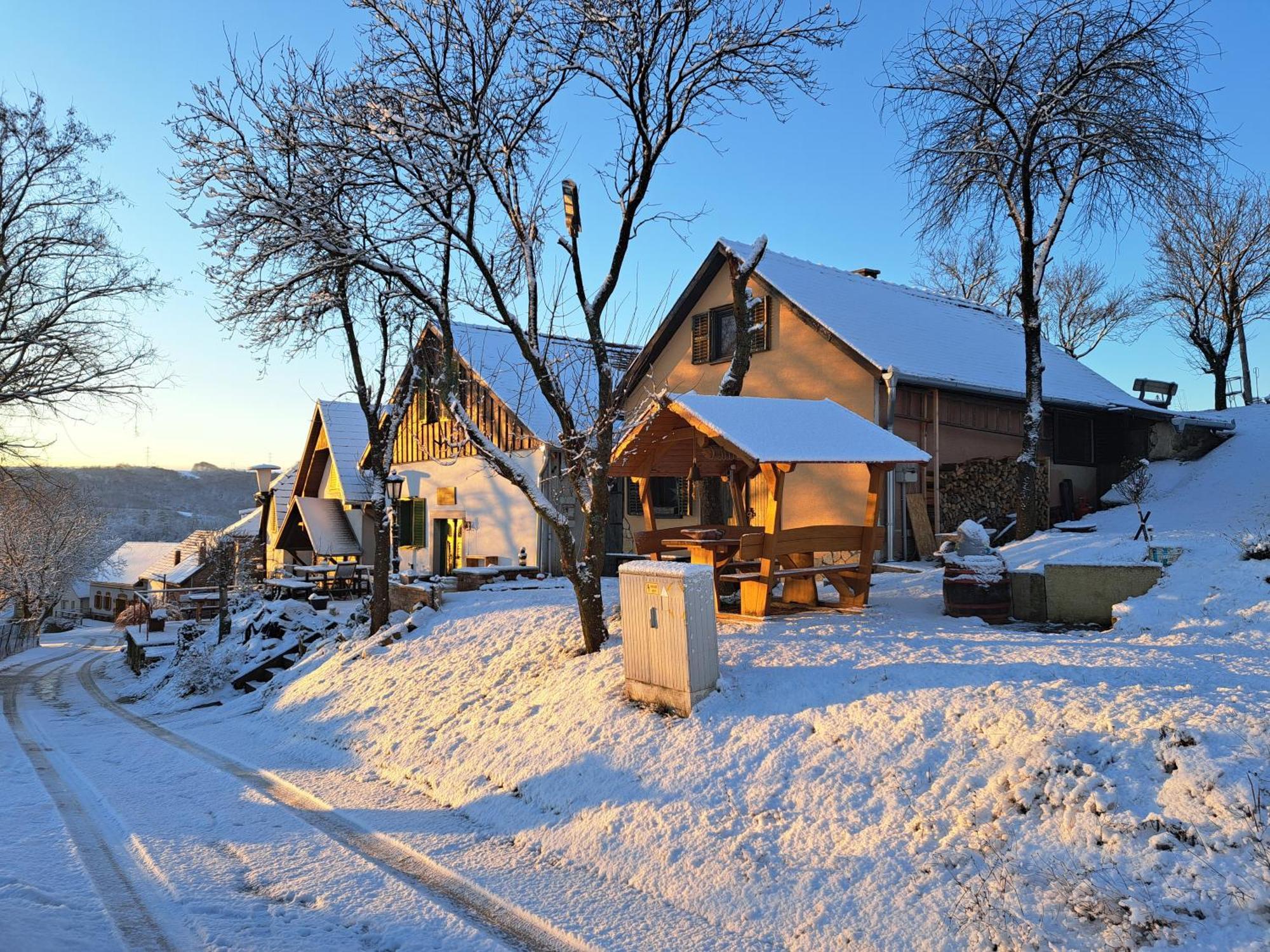Villa Macskajaj Vendeghaz Mecseknádasd Exterior foto
